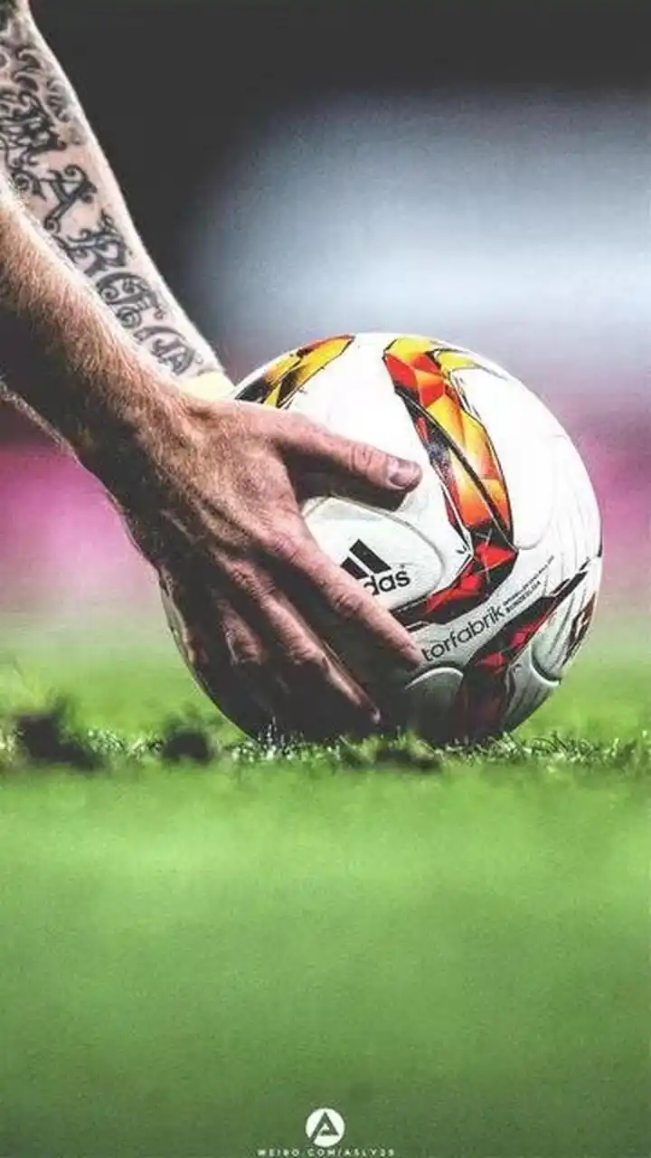 示了如何以 示了如何以